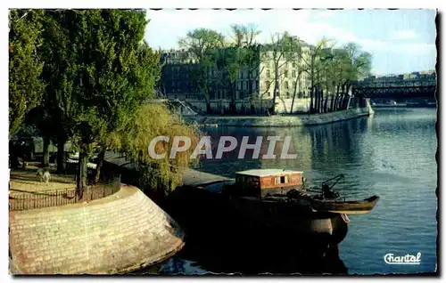 Cartes postales moderne Paris Pointe de l lle Saint Louis