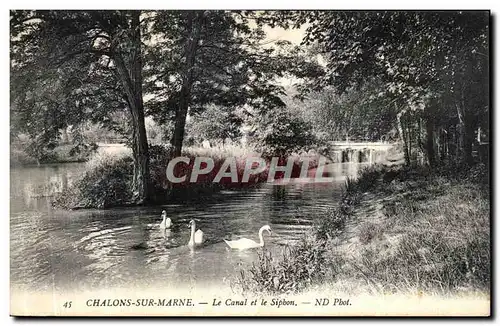 Cartes postales Chalons Sur Marne Le Canal et le Siphon Cygnes