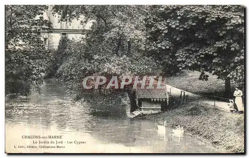 Cartes postales Chalons Sur Marne Le Jardin du Jard Les cygnes