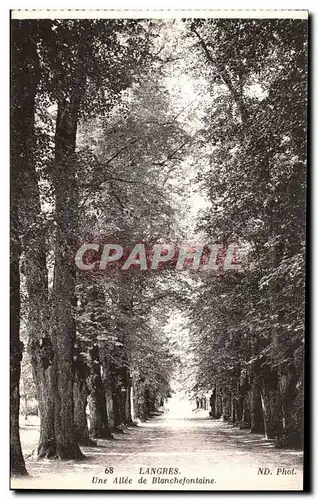 Cartes postales Langres Une Allee de Blanchefontaine