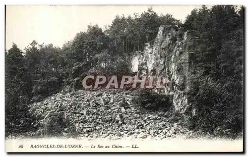 Cartes postales Bagnoles de L Orne Le Roc au Chien