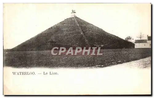Cartes postales Waterloo Le Lion
