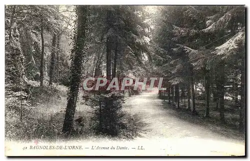 Ansichtskarte AK Bagnoles de l Orne L Avenue du Dante