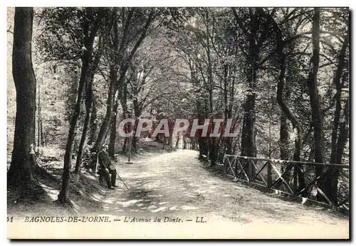 Ansichtskarte AK Bagnoles de l Orne L Avenue du Dante