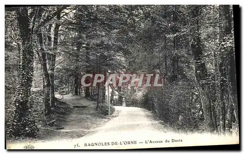 Ansichtskarte AK Bagnoles de l Orne L Avenue du Dante