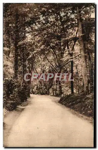 Cartes postales Station thermale de Bagnoles de l Orne L Allee de Dante