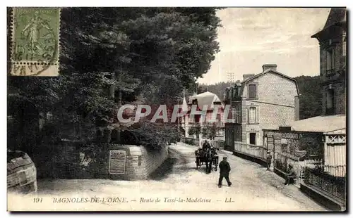 Cartes postales Bagnoles De L Orne Route Tesse la Madeleine