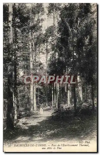Cartes postales Bagnoles De L Orne Parc de L Etablissement Thermal Une allee de pins