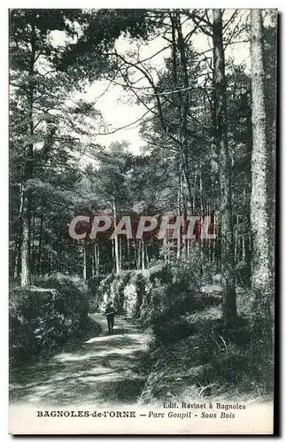 Cartes postales Bagnoles De L Orne Parc Goupil Sous Bois