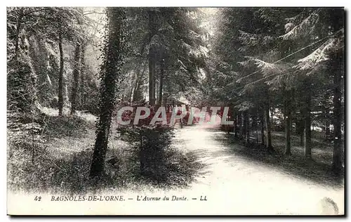 Ansichtskarte AK Bagnoles De L Orne L Avenue du Dante