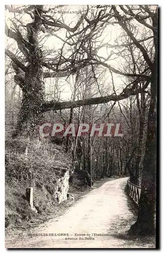 Cartes postales Bagnoles De L Orne Entree de L Etabllssement Avenue du Dante