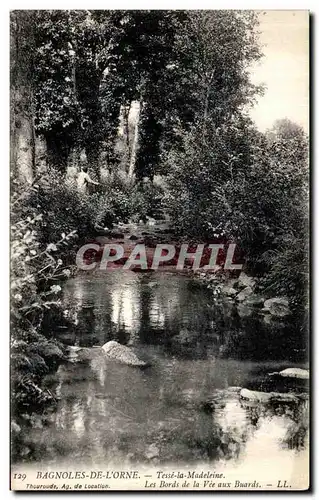 Cartes postales Bagnoles De L Orne Tesse la Madeleine Les bords de la Vee aux buards