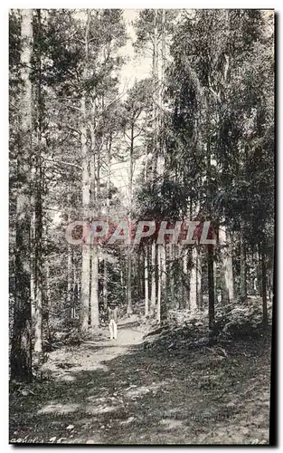 Cartes postales Bagnoles De L Orne Parc de l etablissement thermal