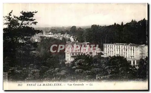 Cartes postales Tesse La Madeleine Vue Generale