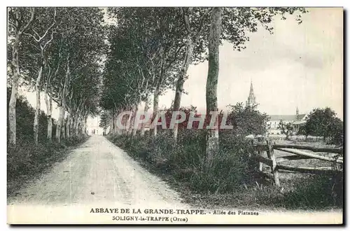 Cartes postales Abbaye De La Grande Trappe Soligny la Trappe Allee des platanes