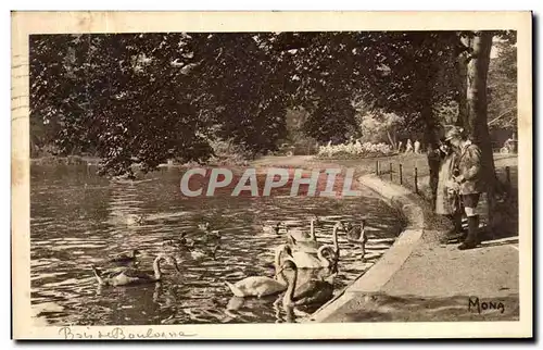 Cartes postales Paris Au bois de Boulogne Cygnes sur le lac inferieur Cygnes