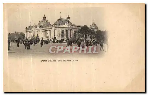 Ansichtskarte AK Paris Petit Palais Des Beaux Arts
