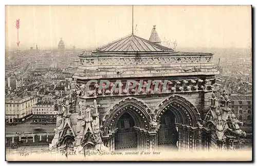 Cartes postales Paris Notre Dame Sommet d une Tour