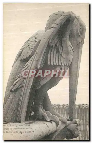 Ansichtskarte AK Paris Notre Dame Betes d amortissement et balustrades des tours