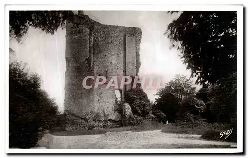 Ansichtskarte AK Domfront Entree du Jardin Public et le Donjon