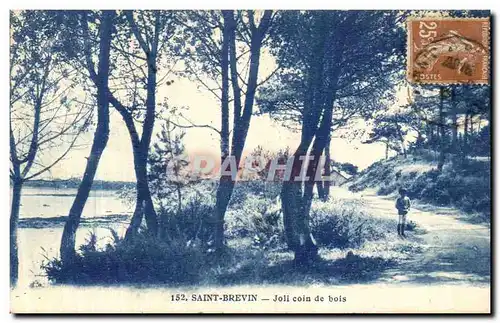 Cartes postales Saint Brevin Joli Coin de Bois