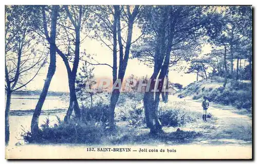 Cartes postales Saint Brevin Joli Coin de Bois