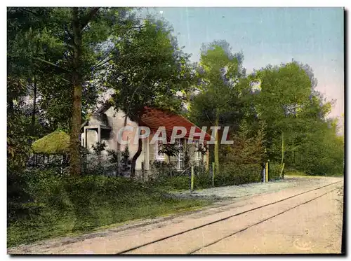 Ansichtskarte AK Saint Brevin L Ocean Neuvillette Une Avenue Dans Les Bois