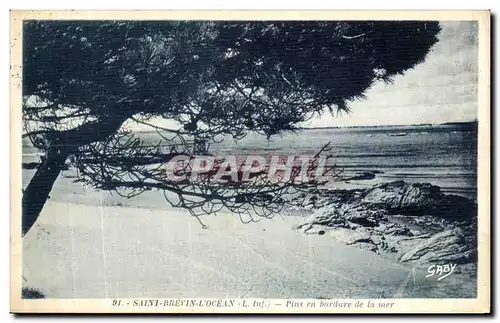 Cartes postales Saint Brevin l Ocean Pins en Bordure de la mer