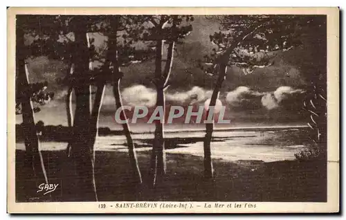 Cartes postales Saint Brevin les Pins La Mer et les pins