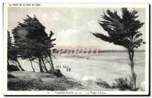 Cartes postales Tharon Plage La Plage d Anjou