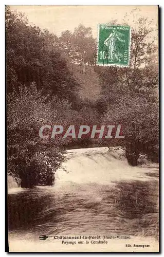 Cartes postales Chateauneuf la Foret Paysage Sur La Combade