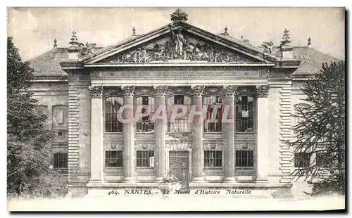 Cartes postales Nantes Le Musee d Histoire Naturelle