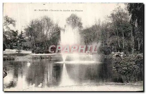 Ansichtskarte AK Nantes Un Coin du Jardin des Plantes