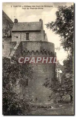VINTAGE POSTCARD Nantes Castle of the Dukes of Brittany Tower of the Foot of Hind�