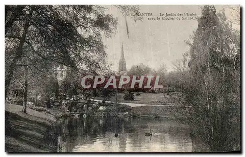 Cartes postales Nantes Le Jardin des Plantes Avec le Clocher de Saint Clement