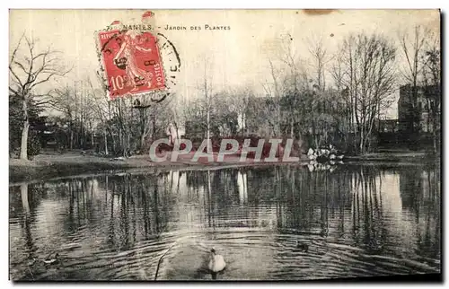 Cartes postales Nantes Jardin des Plantes