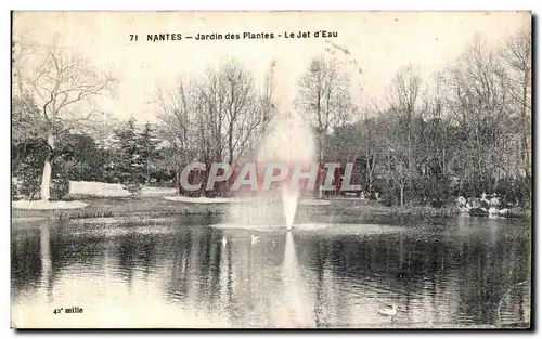 Cartes postales Nantes Jardin des Plantes Le Jet D Eau