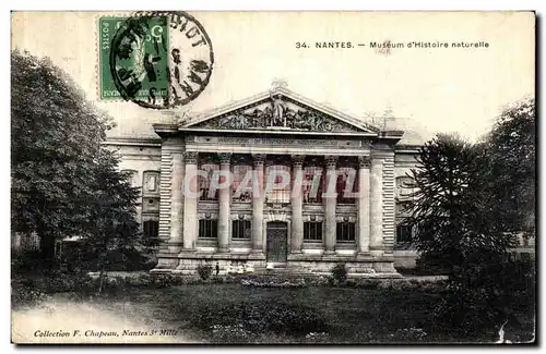 Cartes postales Nantes Museum D Histoire Naturelle