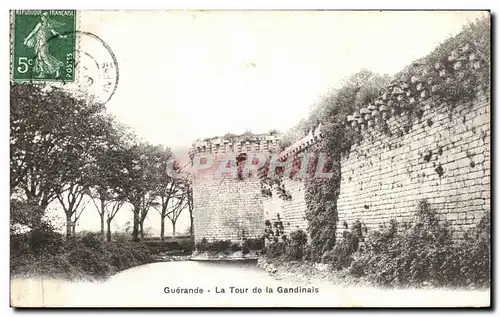 Cartes postales Guerande La Tour de la Gandinals