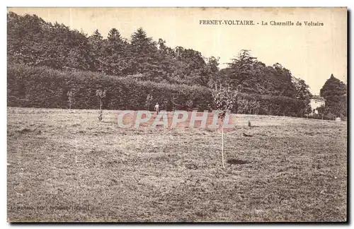 Cartes postales Ferney Voltaire La Charmille de Voltaire