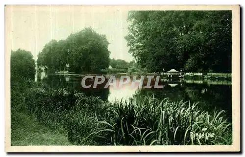 Cartes postales Cognac Le Charente a Robinson