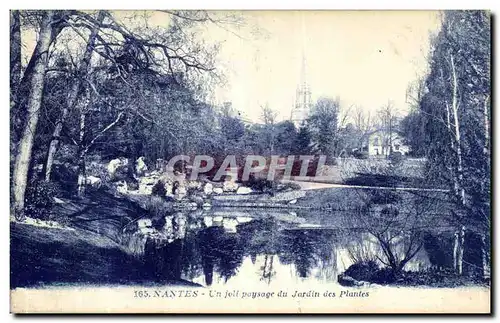 Cartes postales Nantes Un joil paysage du Jardin des Plantes