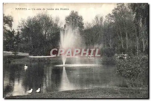 Cartes postales Nantes Un coin du Jardin des Plantes