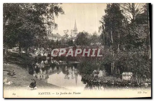 Ansichtskarte AK Nantes Le Jardin des Plantes