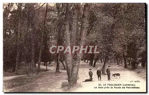 Cartes postales Le Pouliguen Le Bois Pres la Route de Penchateau