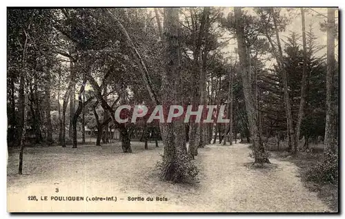 Cartes postales Le Pouliguen Sorte du Bois