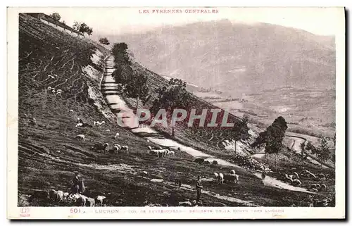 Cartes postales Luchon Col de Peyresourde Descente de la route vers Luchon Moutons Berger