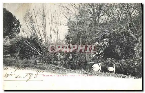 Cartes postales Beziers Le Lac Du Titan Cygnes