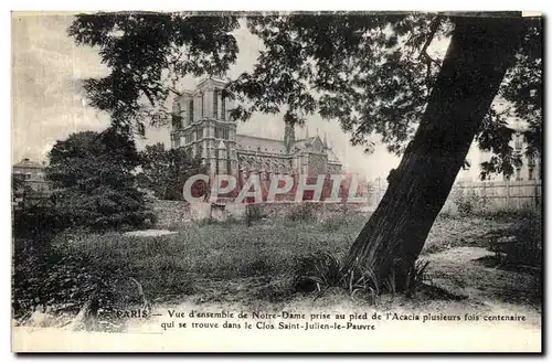 Ansichtskarte AK Paris Vue d ensemble de Notre Dame prise au pied de l Acacia Plusieurs fois centanaire