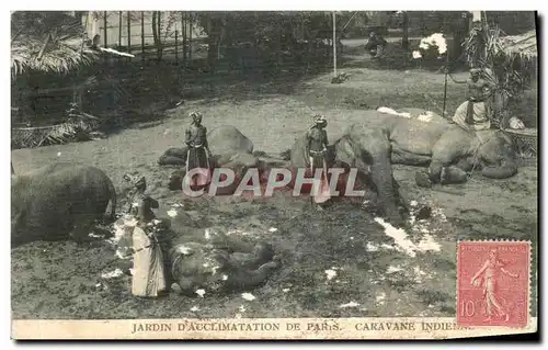 Ansichtskarte AK Paris Jardin D Acclimatation de Paris Caravane indienne Elephants